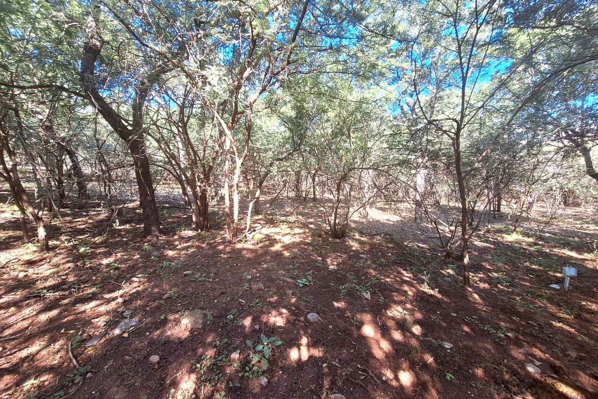 460m2 Stand in Leeupoort - Natures Perfect Canvas - Photo 5