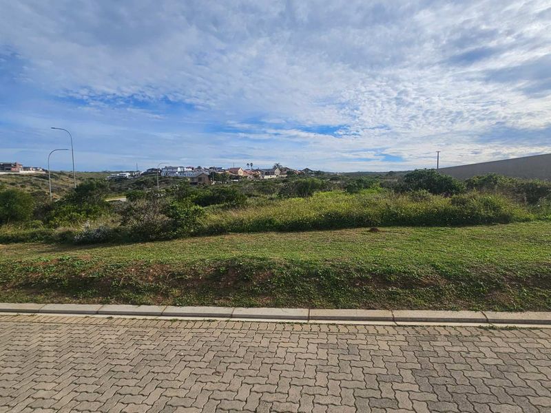 A view of a vacant residential plot from the paved street, featuring natural vegetation and surrounding neighborhood views.