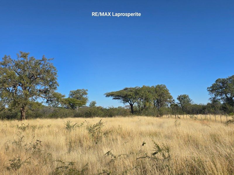 Game/Stock farm for sale Otavi Namibia - Photo 6
