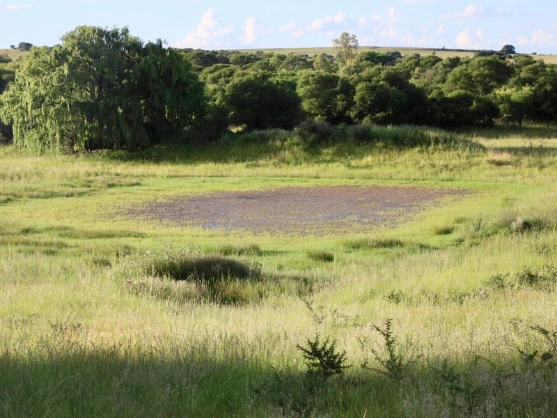 Exceptional Farming Opportunity — 312.0183 ha Grazing Farm with a 4 Bedroom Home, 4 Dams and 8  Boreholes Off the Grid with Solar - Photo 8