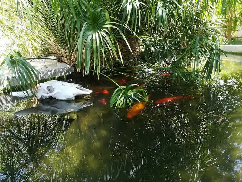 This smallholding is ideal for those seeking a blend of farming potential and a warm family lifestyle in the heart of Omaruru's natural beauty.✨️ - Photo 9