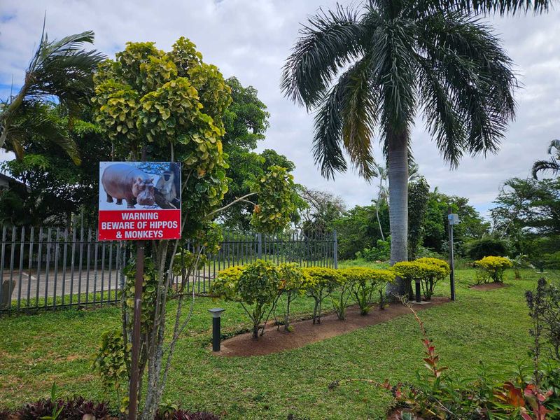 Unleash Your Coastal Business Dreams: A Prime Dual-Property Investment Opportunity in St Lucia, South Africa - Photo 10