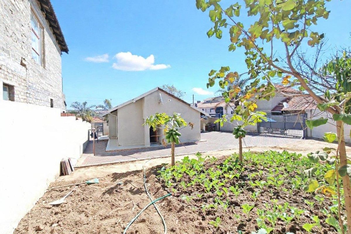Rear view of the property featuring a paved driveway, boundary wall, metal gate, and an unlandscaped garden area with young fruit trees.