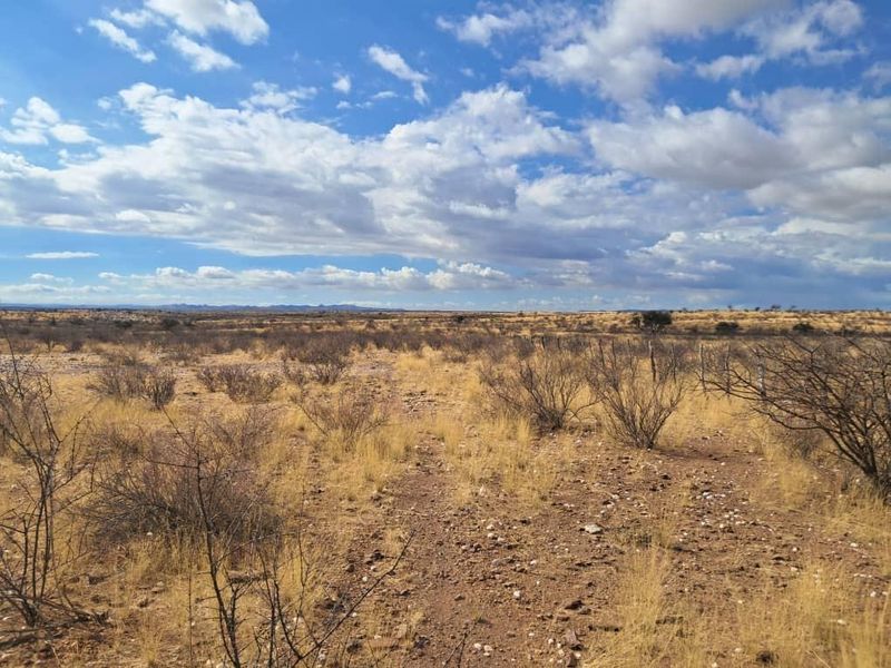 Farm Karnas - Photo 6