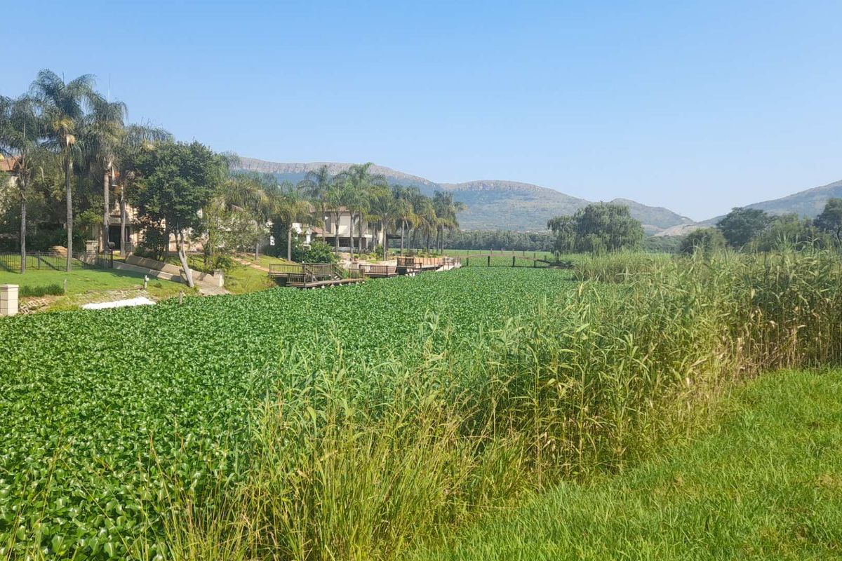 Prime North-Facing Property with Direct Dam Access in Westlake Country & Safari Estate - Photo 4