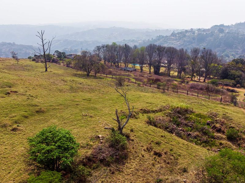 ALMOST PANCAKE LEVEL LAND IN THE PRESTINE PHEZULU ECO ESTATE! - Photo 9