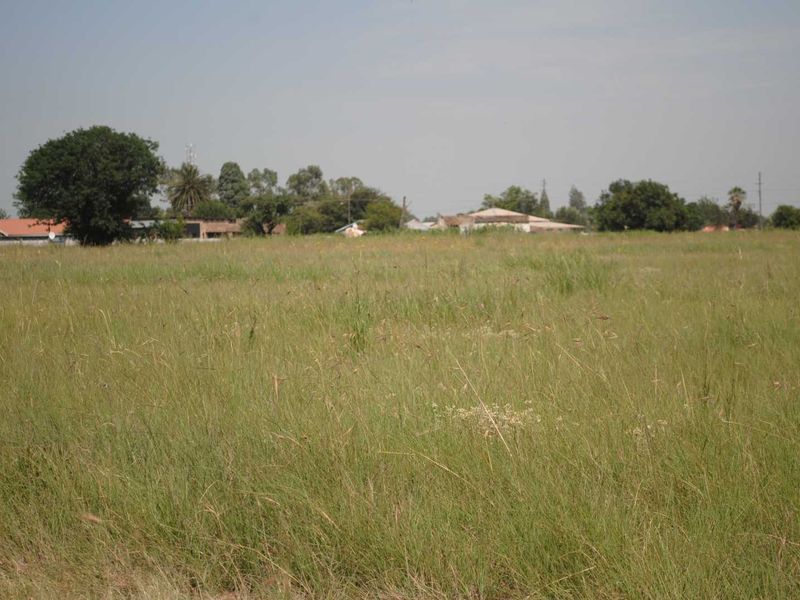 Fantastic level clear stand for development - Photo 3