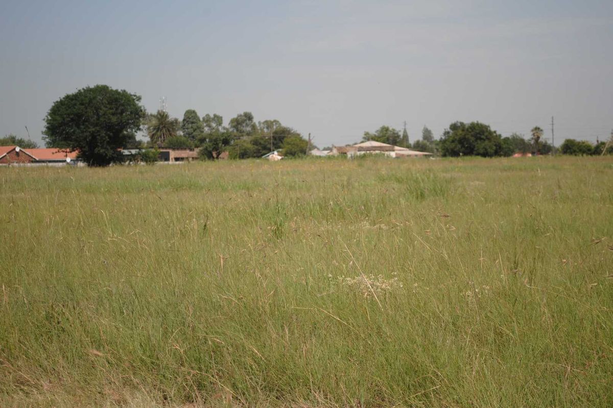 Fantastic level clear stand for development - Photo 3