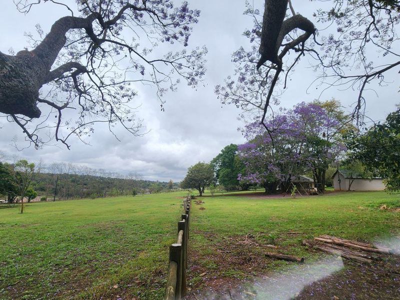 Family Smallholding for sale close to White River in a secure area - Photo 8