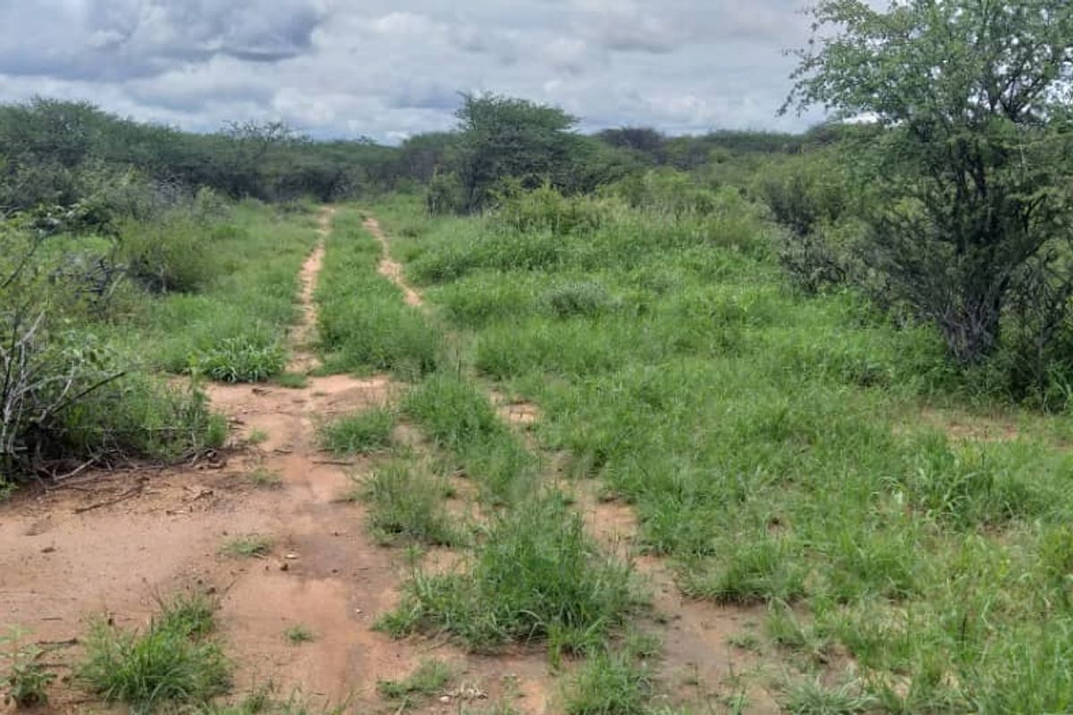 150HA PLOT, OUTJO - FOR SALE - Photo 4