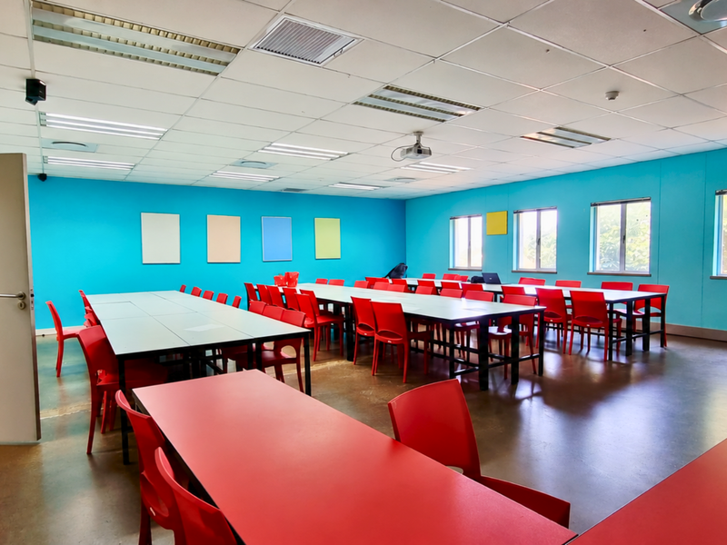 Spacious office or meeting room featuring a suspended ceiling, recessed lighting, and large windows providing ample natural light.