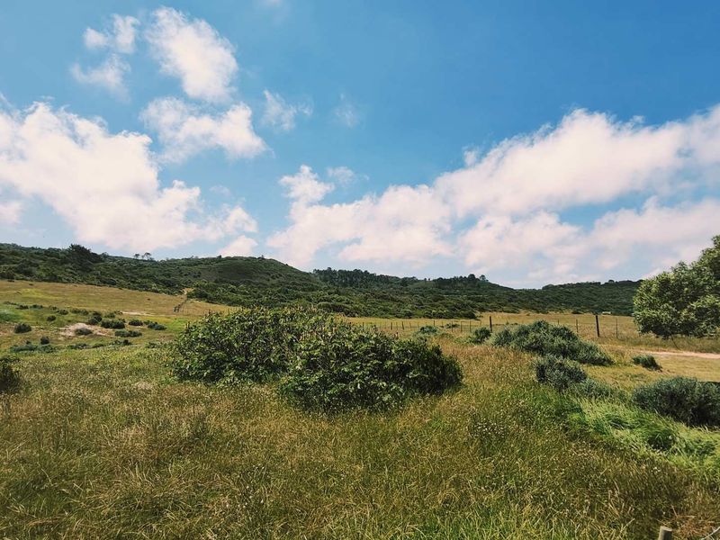 Development land for sale - Photo 9