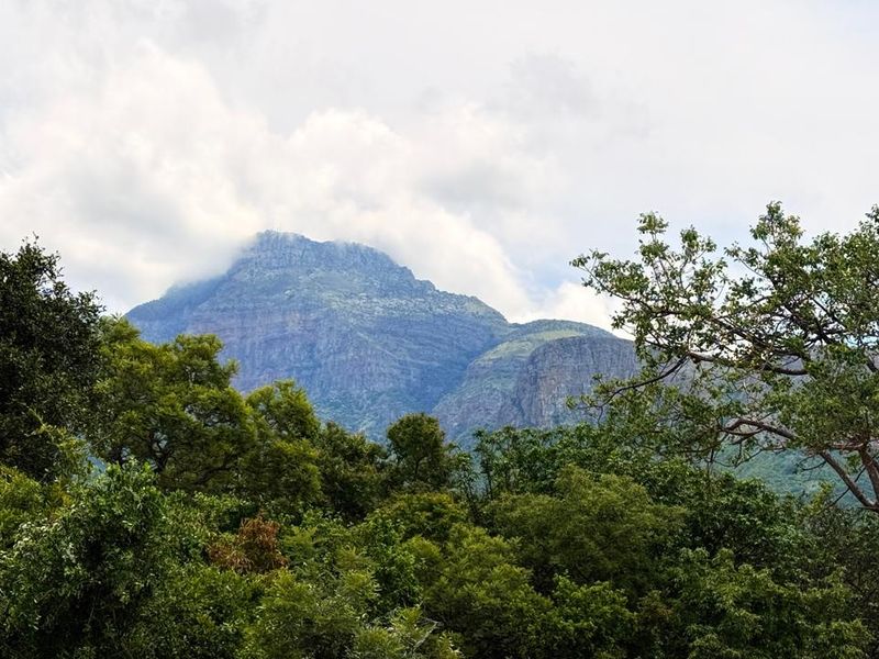 Kampersrus – Bedford Estate | Secluded Vacant Stand for sale with Mountain Views - Photo 1
