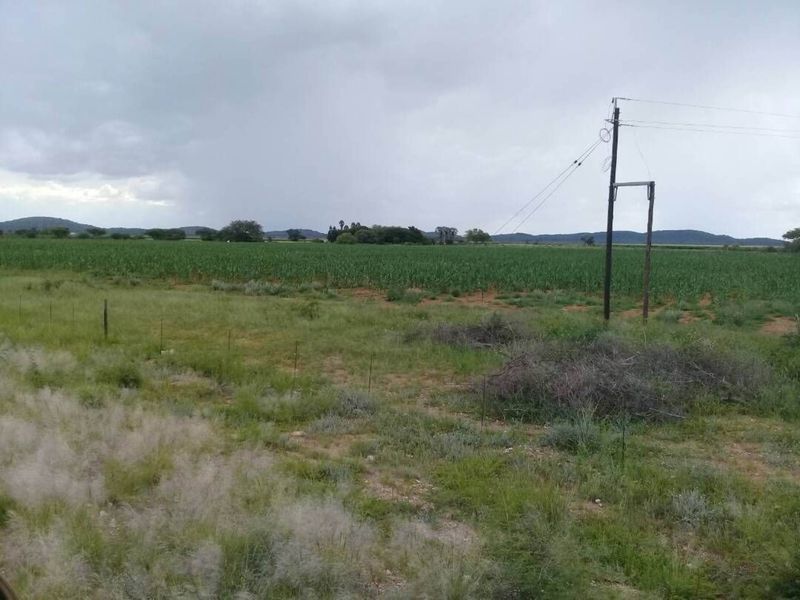 FOR SALE - PRIME 25 HA IRRIGATION PLOT FOR SALE IN TSUMEB DISTRICT - Photo 5
