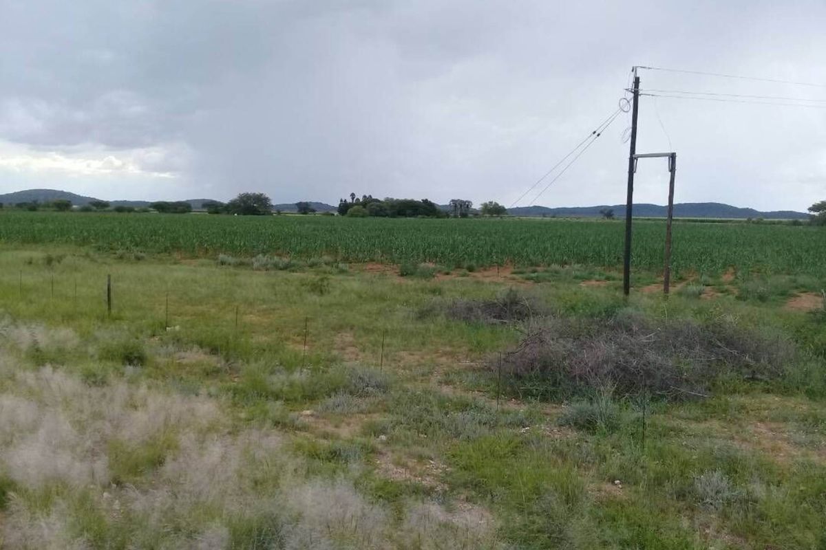 FOR SALE - PRIME 25 HA IRRIGATION PLOT FOR SALE IN TSUMEB DISTRICT - Photo 5