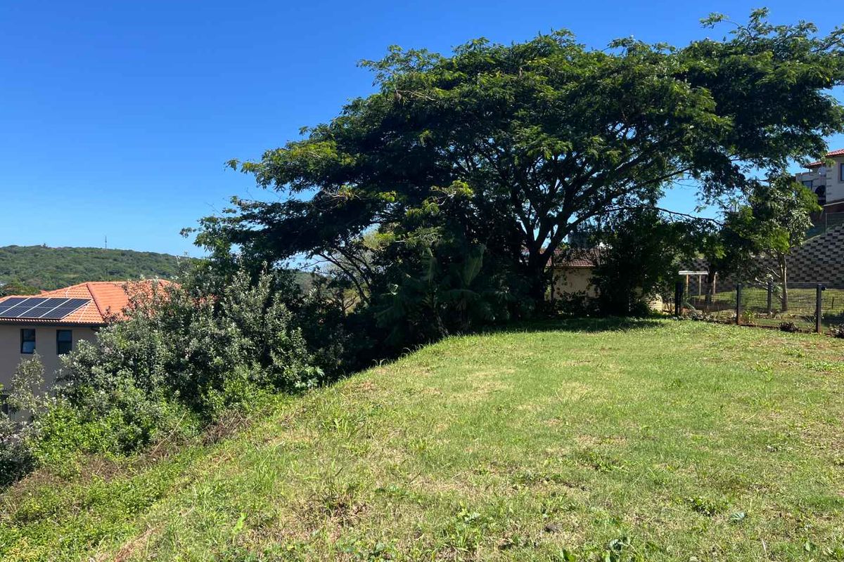 Rare Find Elevated Vacant Stand in Seaward Estate - Photo 5