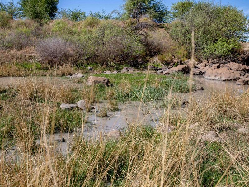 Vacant Land with Dam Views – Weltevrede Dam, Koppies - Photo 8