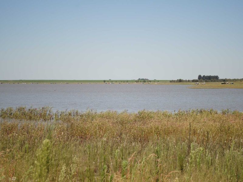 Vaal Dam water front stands from 1.5ha 20Km from Vaal Marina - Photo 9