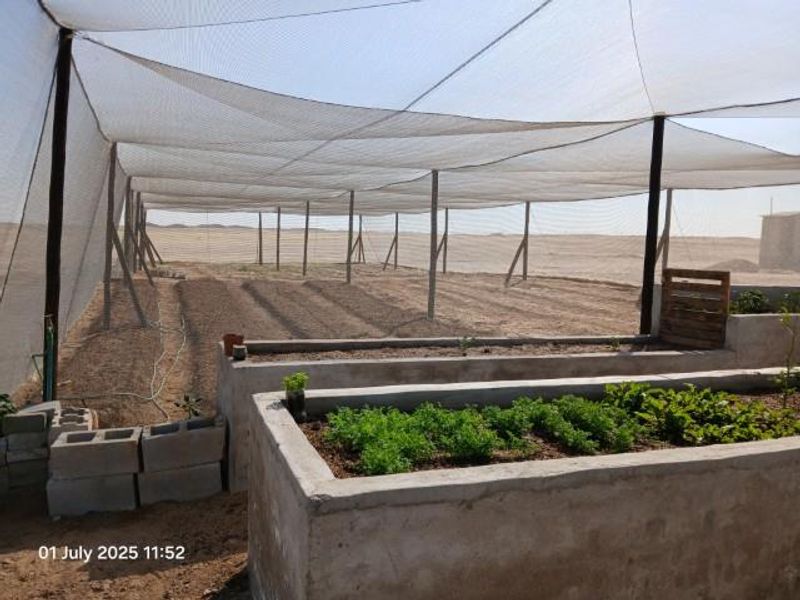 Swakop River Plot with established agricultural business for Sale - Photo 10