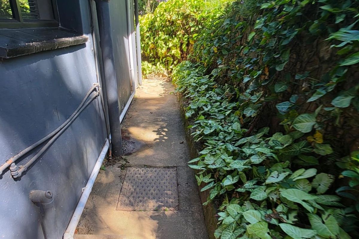 A narrow side pathway featuring a concrete walkway, drainage access, and a retaining wall bordered by dense garden vegetation.