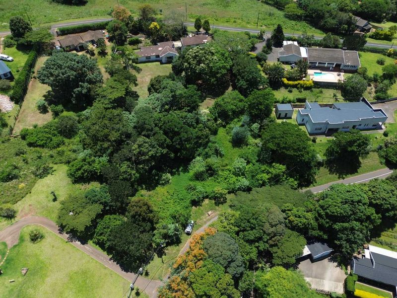 Vacant Land with Massive Potential in Crestholme! - Photo 6