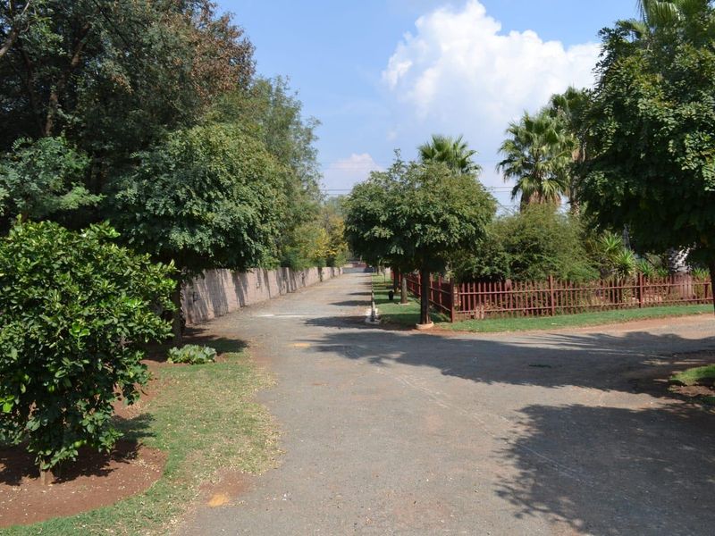 Exceptional Riverfront Smallholding in Risiville - Photo 5