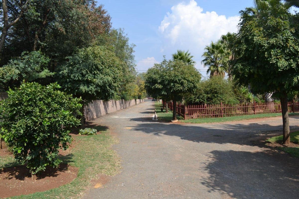 Exceptional Riverfront Smallholding in Risiville - Photo 5