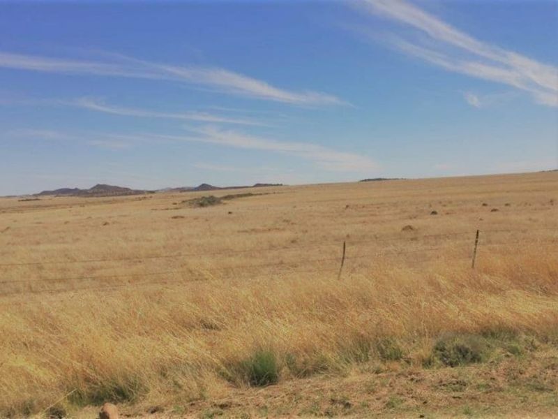 EXCELLENT CATTLE FARM 65 KM FROM BLOEMFONTEIN.NO BUILDINGS - Photo 4