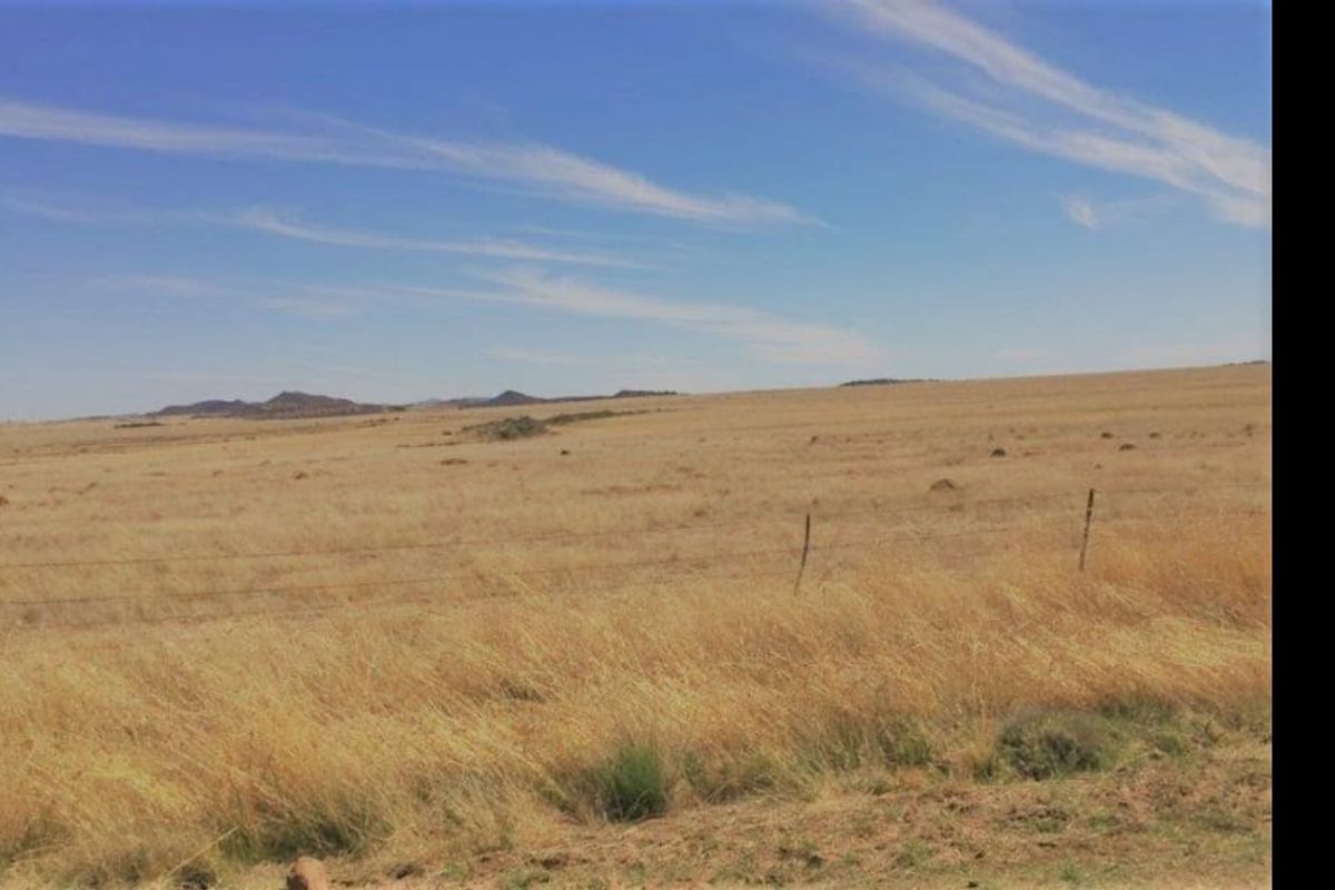 EXCELLENT CATTLE FARM 65 KM FROM BLOEMFONTEIN.NO BUILDINGS - Photo 4
