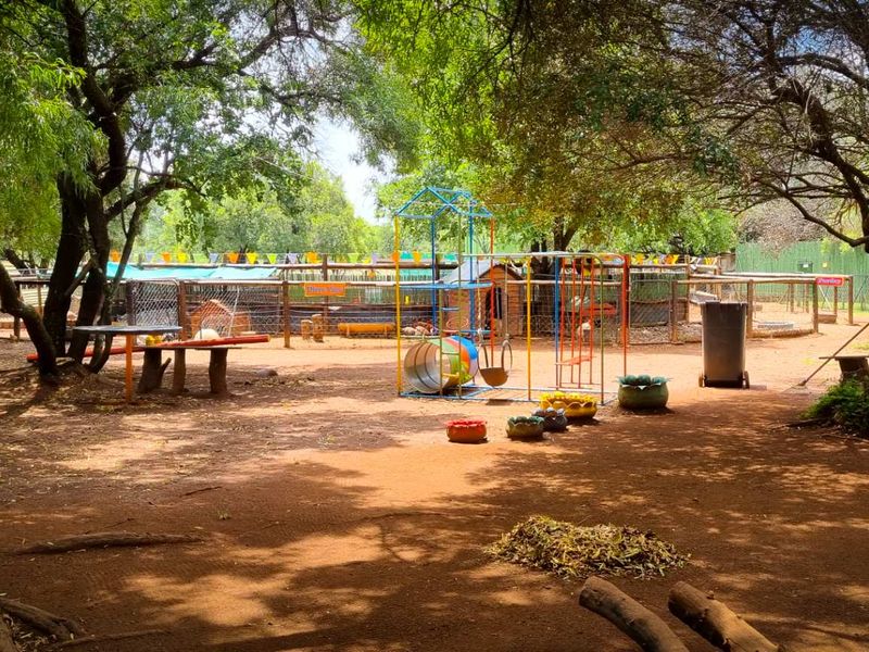 Exceptional Business Opportunity close to Hartbeespoort - Photo 9