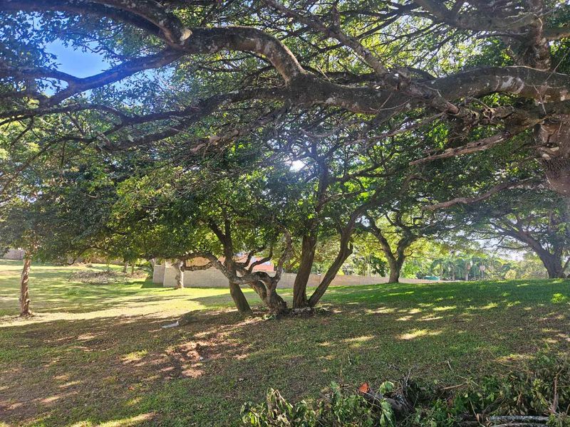 Build Your Tropical Masterpiece in St Lucia 🌿 - Photo 9