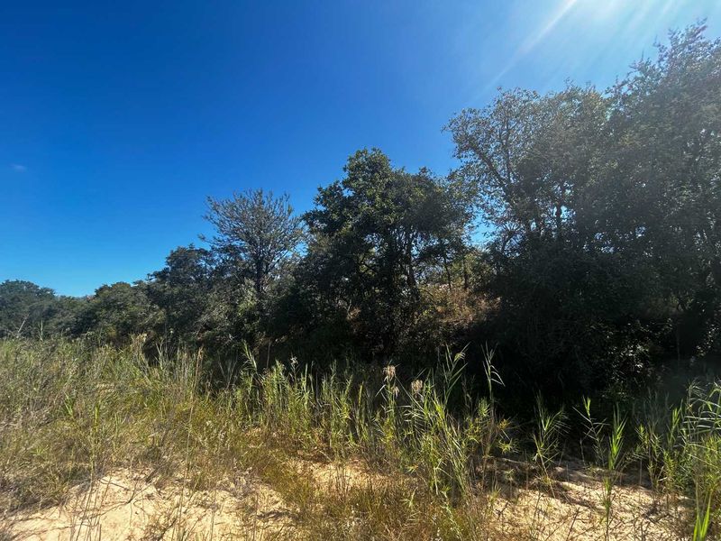 Prime vacant River Stand in Moditlo Nature Reserve - Photo 6
