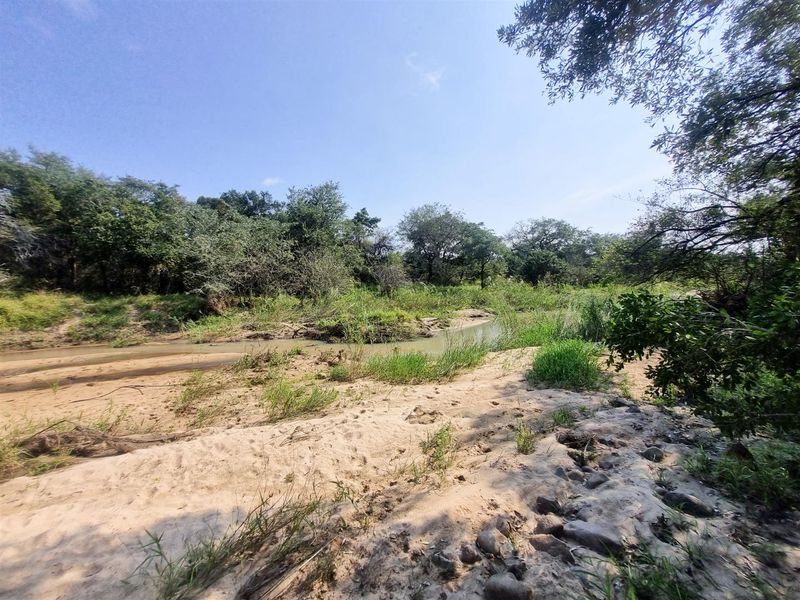 1.9-hectare riverfront stand for sale in Moditlo Wildlife Estate - Photo 1