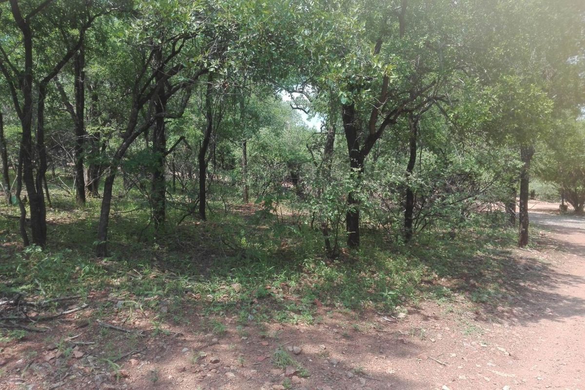 A view of a vacant residential plot featuring mature trees and natural vegetation, offering a peaceful and private setting for potential development.