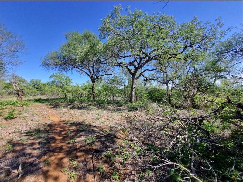 Prime Location in Big 4 Game Reserve!! - Photo 7