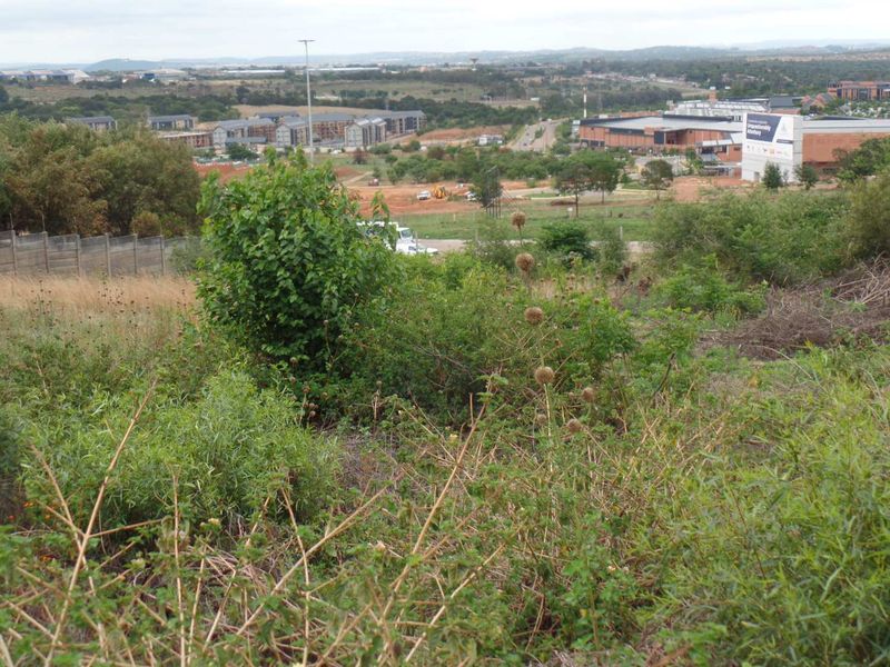 Spacious vacant stand in Erasmuskloof - Photo 6