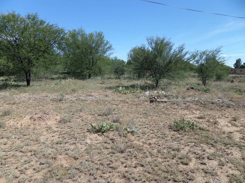 ZEBRA CROSSING - Photo 4
