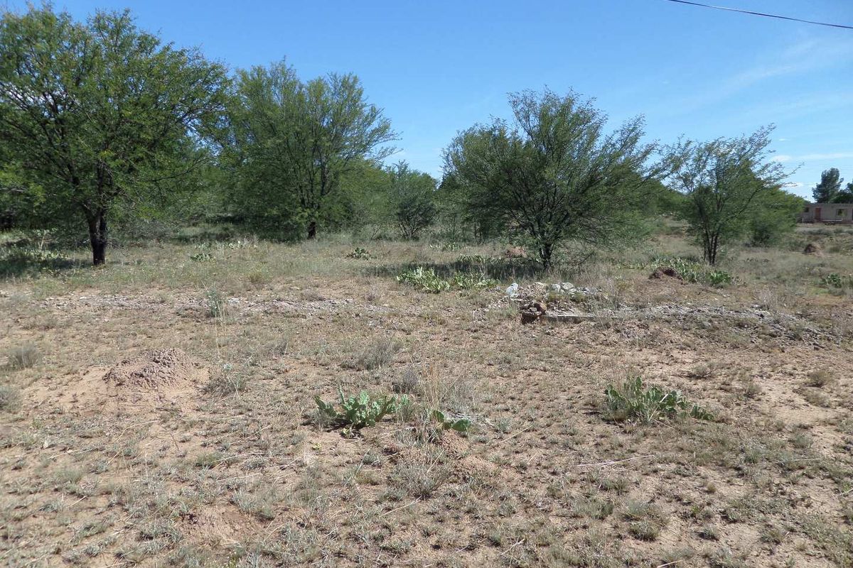 ZEBRA CROSSING - Photo 4