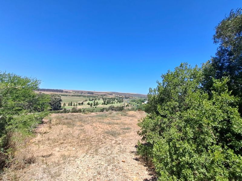 Serene Cul-de-Sac Living in Heidelberg Awaits! - Photo 4