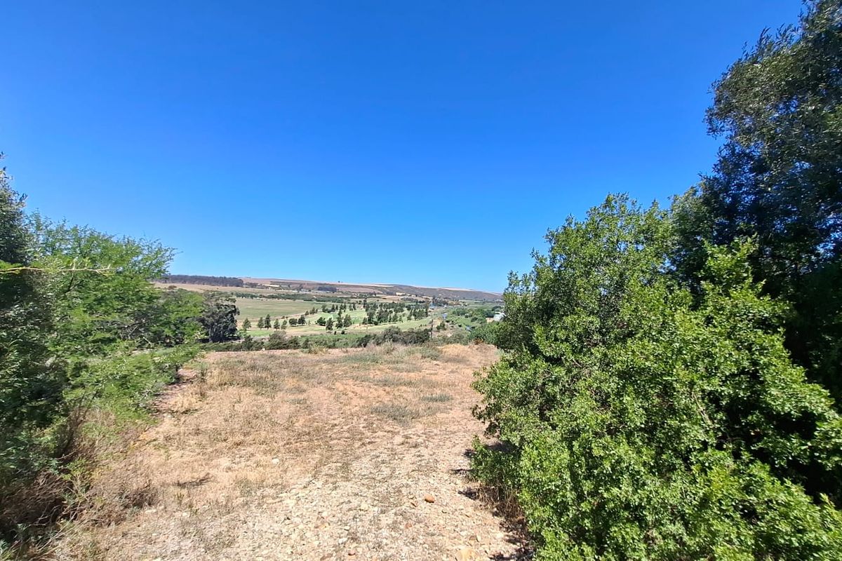 Serene Cul-de-Sac Living in Heidelberg Awaits! - Photo 4