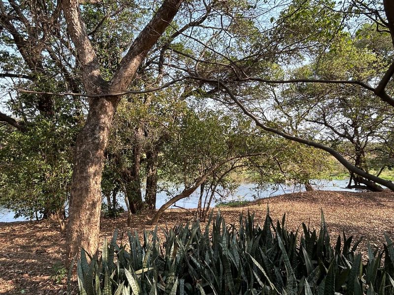 Prime Letaba Riverfront Oasis: Productive Orchards & 2 Homesteads - Photo 3