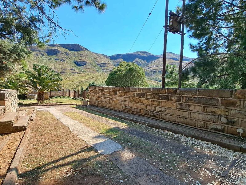 Investment Opportunity: A fully operational guest farm with AWALK TRHOUGH EXPERIENCE VIDEO INCLUDED - Photo 3