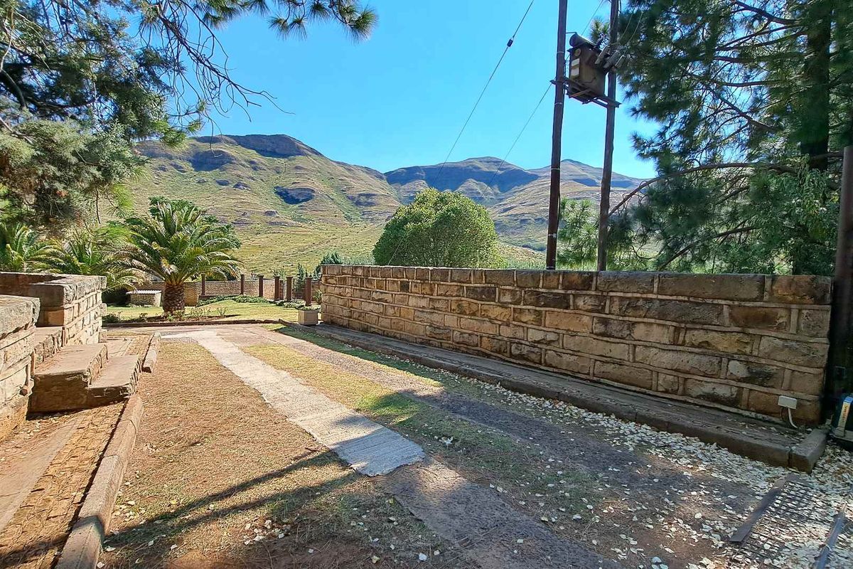 Investment Opportunity: A fully operational guest farm with AWALK TRHOUGH EXPERIENCE VIDEO INCLUDED - Photo 3