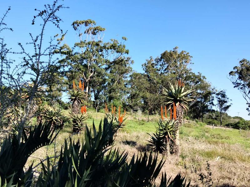 CHANGE YOUR LIFESTYLE TO COUNTRY LIVING - Photo 10