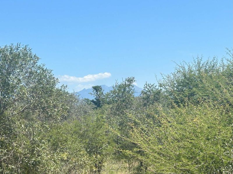 MODITLO WILDLIFE ESTATE - Vacant land for sale! - Photo 9