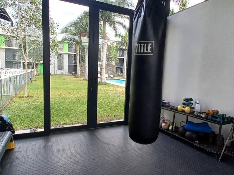 Pet-Friendly Ground Floor Gem with Pool & Gym - Photo 10