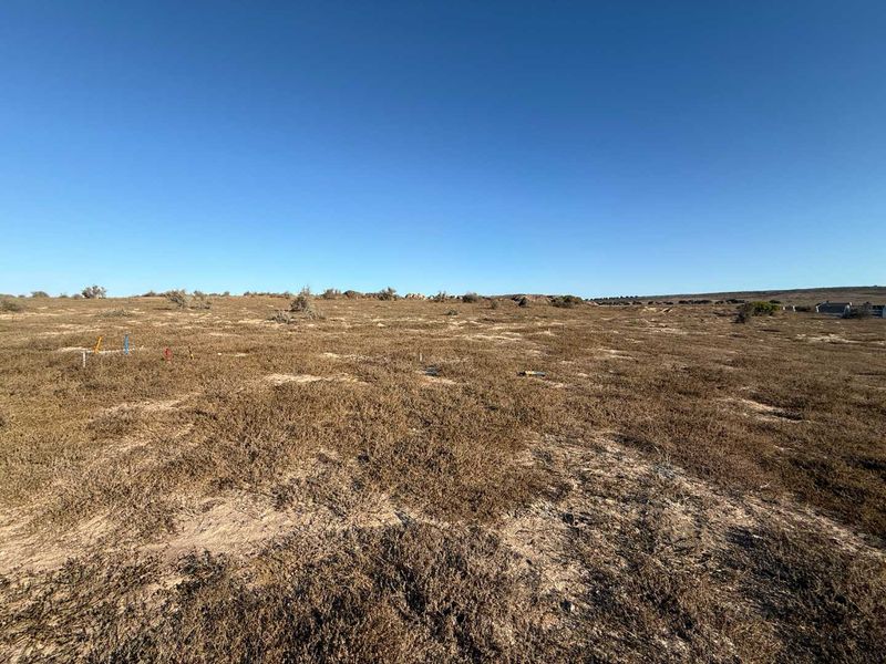 Prime Plot with Views on Clubhouse Side - Photo 4