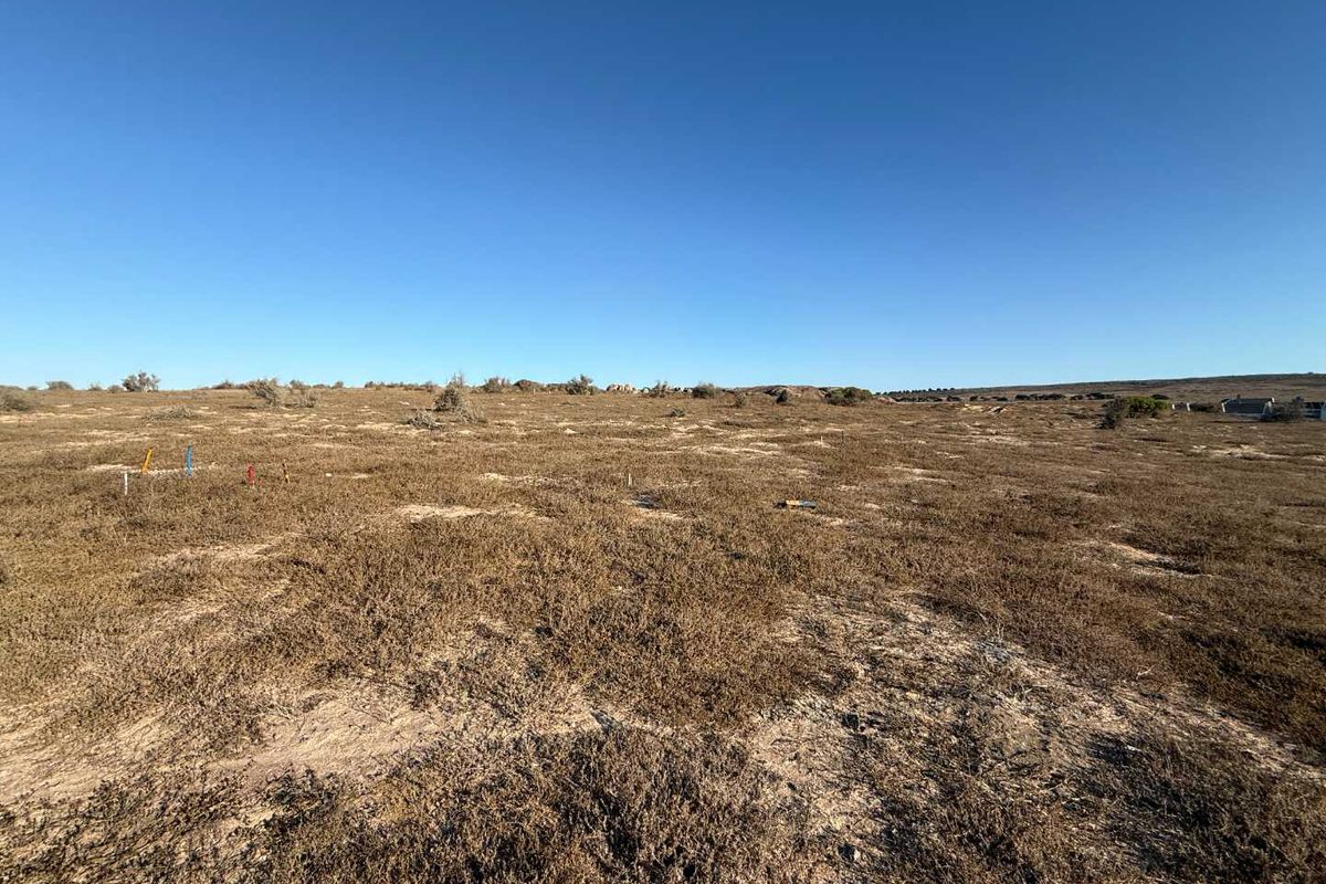 Prime Plot with Views on Clubhouse Side - Photo 4