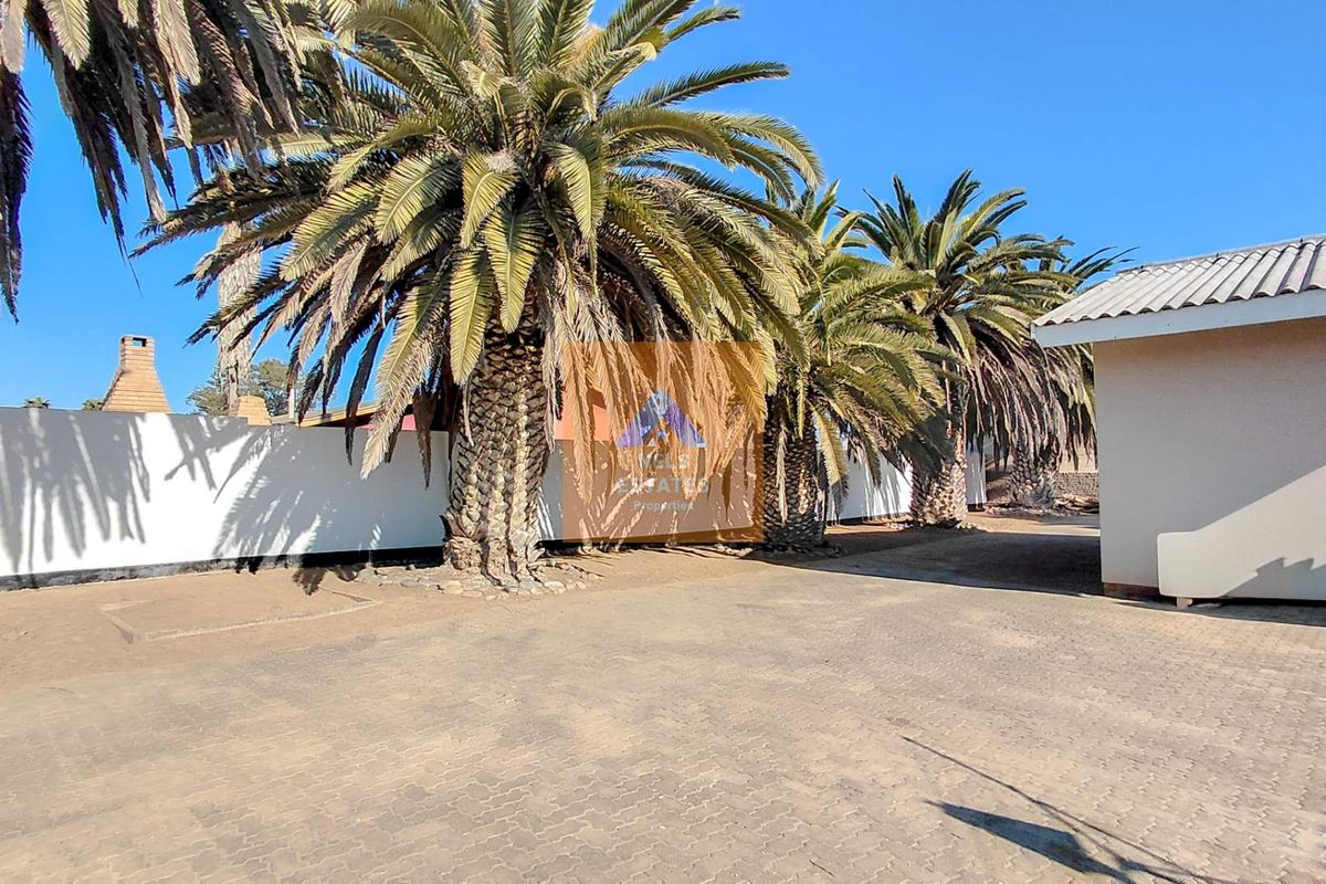A spacious outdoor area featuring a paved driveway, mature palm trees, and a boundary wall, providing ample space for parking or outdoor activities.
