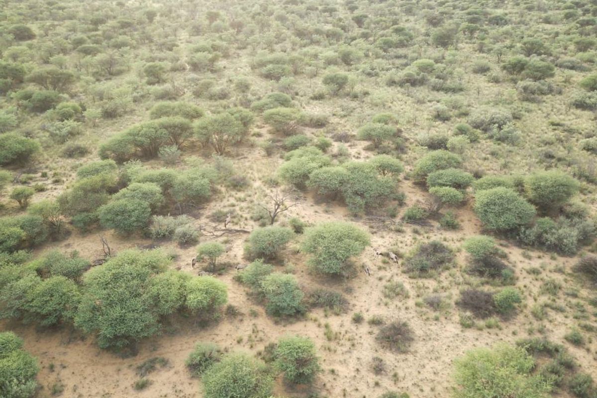 An aerial view of the expansive farm landscape featuring natural bushveld vegetation and open terrain.